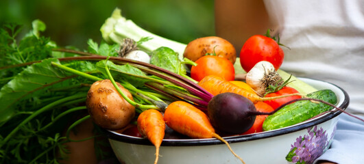 Wall Mural - the boy holds a bowl of vegetables, harvest from the garden. harvest.