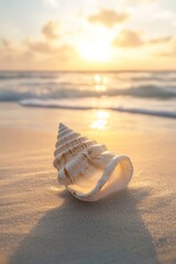 During sunset, a sea shell rests on a sandy beach by the sea