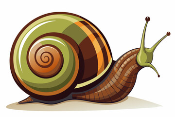 Wall Mural - Snail vector color illustration