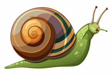 Wall Mural - Snail vector color illustration