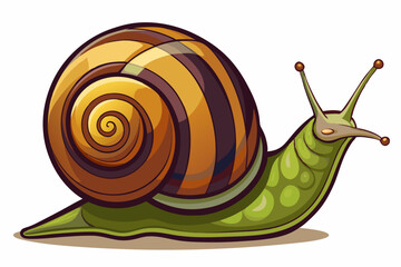 Wall Mural - Snail vector color illustration