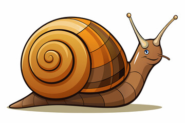 Wall Mural - Snail vector color illustration