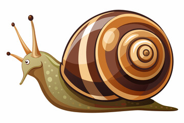 Wall Mural - Snail vector color illustration