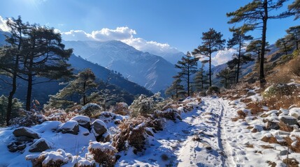 Canvas Print - Snowy Mountain Path