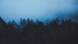 © And They Travel - Dark Misty Fog Over Trees in Moody Cool Blue Forest. Green Pine Trees Magical Nature Landscape Background Vermont, USA.