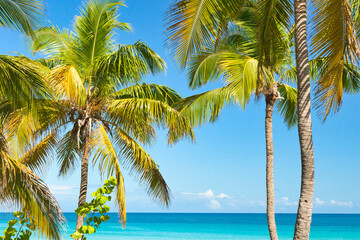 Wall Mural - 
Varadero, CUBA - April 08, 2023:  Wide angle shot of beautiful beach on a hot summer day in the Caribbean, in Varadero, Cuba. Empty beach, calm sea.