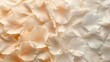 © Riz - Delicate White and Cream Flower Petals Close-Up
