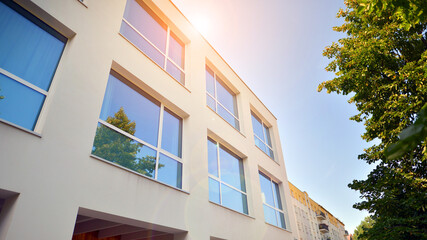 Wall Mural - Eco building or green office plant tree and garden in city concept. Eco architecture. Green tree and office building. The harmony of nature and modernity.