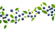 © David - Blueberries and green leaves decoratively isolated on transparent background
