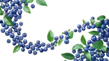 Poster - Elegant blueberries with green leaves isolated on transparent background