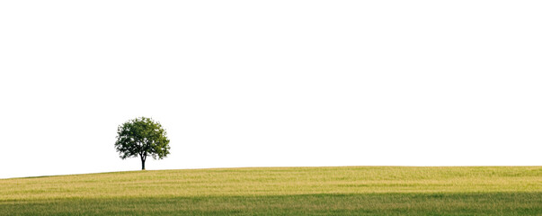 A solitary tree stands gracefully on a vast green field, symbolizing peace and tranquility in nature's beauty.