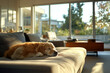 © Running opossum - Golden retriever dog is taking a nap on a comfortable couch in a modern, sun-drenched living room, enjoying a peaceful moment at home