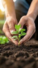 Sticker - A small-town farmer tending to their garden, with a focus on hands planting seeds and a background of a modest, self-sustaining home