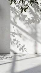 Wall Mural - Sunlight casts intricate leaf shadows on a pristine white wall, creating a mesmerizing interplay of light and nature. Minimalist elegance meets organic beauty.