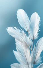 Wall Mural - A close up of a bunch of white feathers on a blue background. The feathers are arranged in a way that they look like they are growing out of a stem. The image has a serene and calming mood