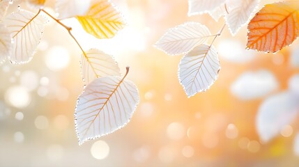 Wall Mural - Delicate Autumn Leaves with Dewdrops and Bokeh