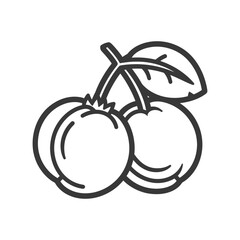 Line Drawing of Two Cherries with a Leaf