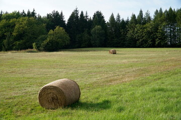 Wall Mural - Round bales of hay on meadow