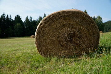 Wall Mural - Round bale of hay on meadow