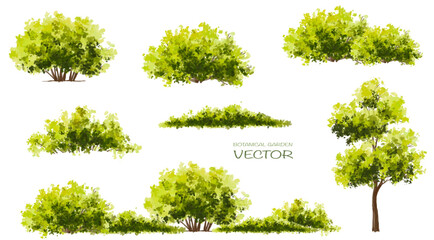 Wall Mural - vector watercolor green tree or forest side view isolated on white background for landscape and arch