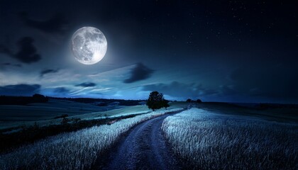 Wall Mural - dark night in the moonlight, ai generated