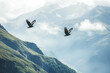 © Kitta Studio - Majestic Eagles Dips and Soar Above an Enchanting Mountain Range Wrapped in Soft Mist and Sunlit Skies.