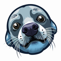 Wall Mural - Sea seal head vector icon, Sea lion face illustration