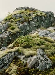 Canvas Print - Green Moss Covered Rocks On Cliff