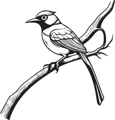 beautiful bird vector silhouette Illustration design