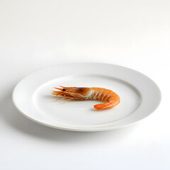 Wall Mural - One small shrimp prawn on white plate top view isolated on white background
