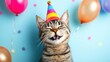© яна винникова - Happy cat wearing a colorful party hat surrounded by balloons and confetti at a joyful celebration indoors