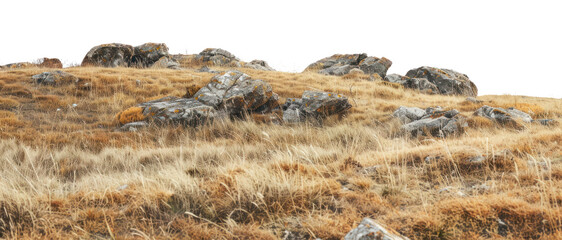 Wall Mural - PNG Rocky hillside with dry grass