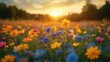 © julija - vibrant wildflower meadow in full bloom under golden summer sunlight diverse flora buzzing pollinators idyllic countryside