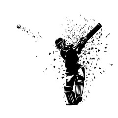 Poster - Cricket player, batsman, in action, isolated vector silhouette, front view