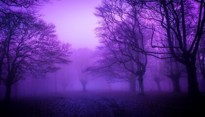 Wall Mural - haunting purple fog with eerie trees in the background