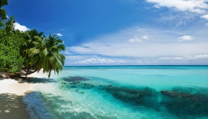 the blue sea is clear and calm with tropical trees on the shore of