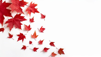 Wall Mural - falling maple leaves for black friday sale and halloween seasonal price drop red maple leaves isolated on white background