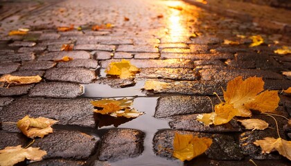 Wall Mural - wet old pavement with autumn leaves