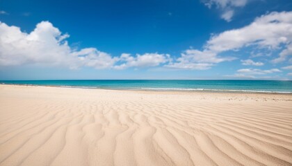 Canvas Print - empty sand beach in summer fresh blue sky background