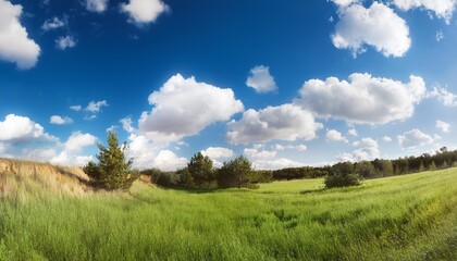 sunny summer days with blue sky and clouds