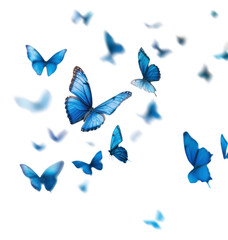 Poster - PNG Blue butterflies in flight