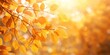 © Nikki AI - Autumn Leaves on Tree Branches With Warm Golden Sunlight and Soft Focus Background