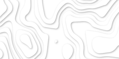 Wall Mural - Abstract wavy line 3d paper cut white background. minimal topography map light element shadow landscape.