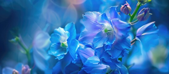 Poster - Blue Flower Delphinium Long Term Close Up