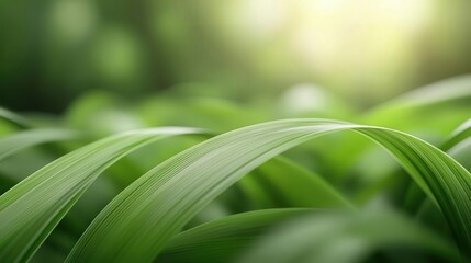 A close-up abstract shot of green plant leaves with soft, curved lines and a smooth gradient, creating a fresh and vibrant natural texture