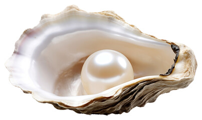 Sticker - PNG Lustrous pearl inside oyster shell