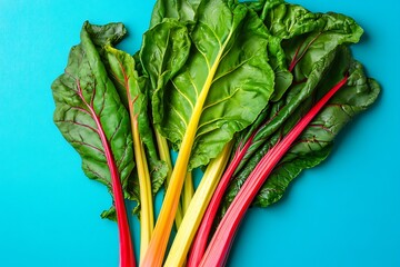 Wall Mural - Colorful Swiss Chard Stalks and Leaves on a Turquoise Background