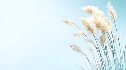 Gentle breeze blowing through a field of tall grass, calm and peaceful minimalist realistic