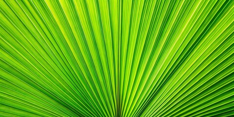 Abstract green palm leaf texture background showcasing intricate patterns and nature growth