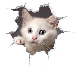 Canvas Print - PNG Cat peeking out and try to step through a torn paper hole portrait animal mammal.